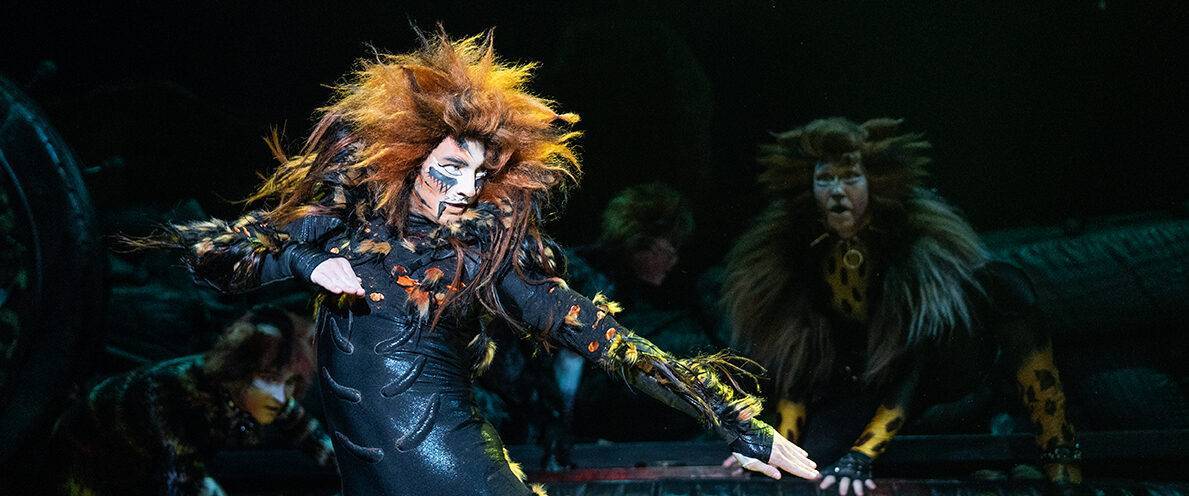 CATS: The Musical' Louisville Broadway review: Great songs, costumes