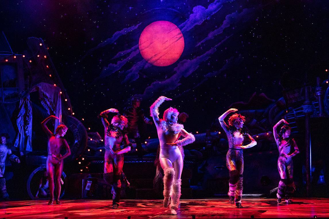 Cats,' the Broadway musical, coming to Detroit's Fisher Theatre